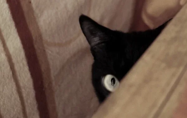 числа Мерсенна на пальцах, ч. 3