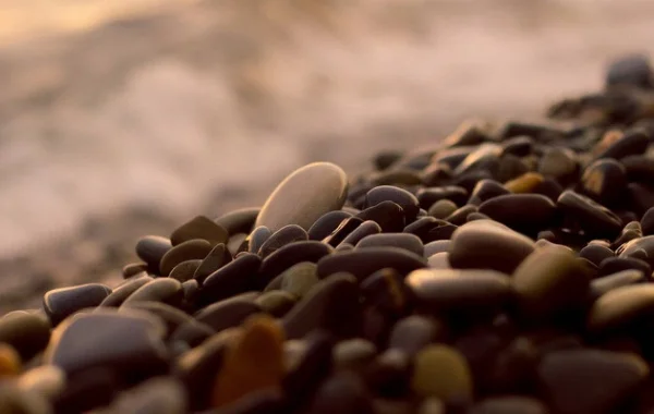 Драгоценности бесконечного пляжа