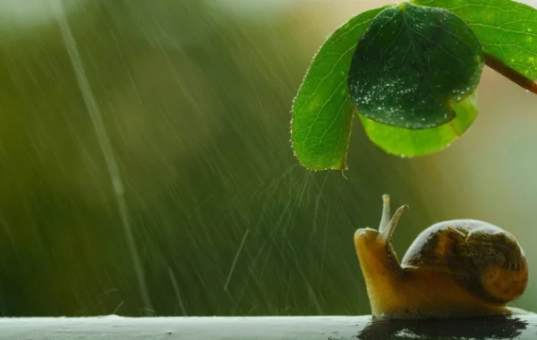 Четыреста дней одиночества