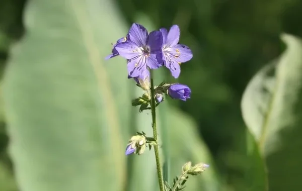 Казахстан: рандомные факты