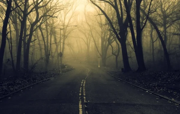 К 16 февраля