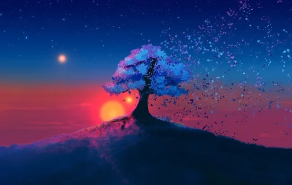 Кио-2019 в стране чудес, часть 5