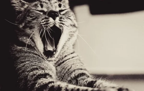 числа Мерсенна на пальцах, ч. 2